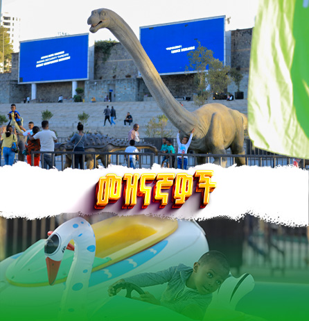 About Expo